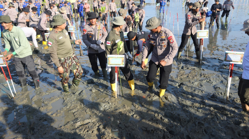 Green Policing Polda Aceh, Tanam 10 Ribu Mangrove untuk Perkuat Ketahanan Ekologi dan Ekonomi Desa Pesisir