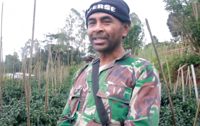 Petani NTT Bersyukur, 3.000 Pohon Buncis Terserap Semua Berkat MBG