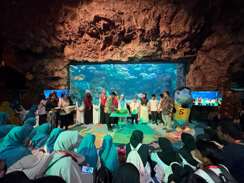 Sea World Ancol Genap 33 Tahun, Perkenalkan Hiu Berjalan Halmahera sebagai Biota Baru