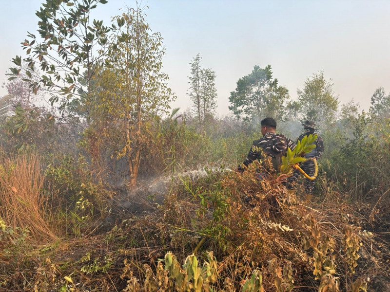 Lokalisasi dan Padamkan Api, Lanal Banjarmasin Bersama Dishut Kalsel Jinakkan Karhutla Gambut