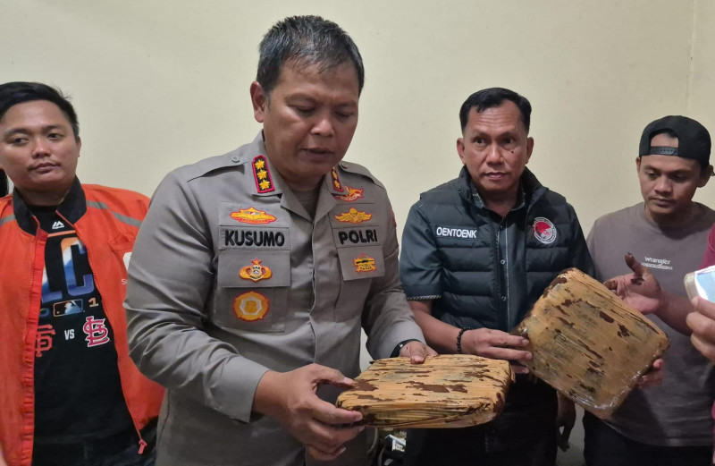 Polres Metro Bekasi Kota Sita 44 Kg Ganja, Satu Tersangka Ditangkap