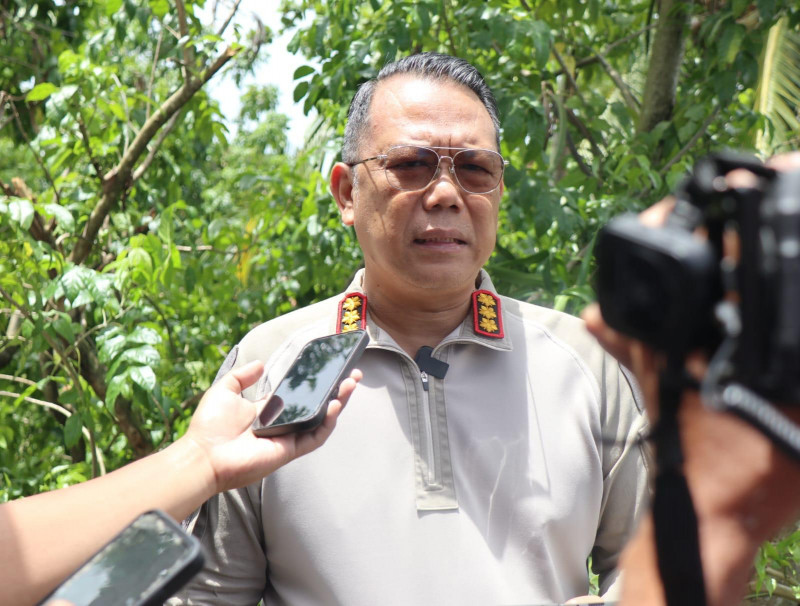 Satgas Damai Cartenz Bongkar Jaringan Pembelian Senjata untuk KKB di Papua, Lima Orang Jadi Tersangka