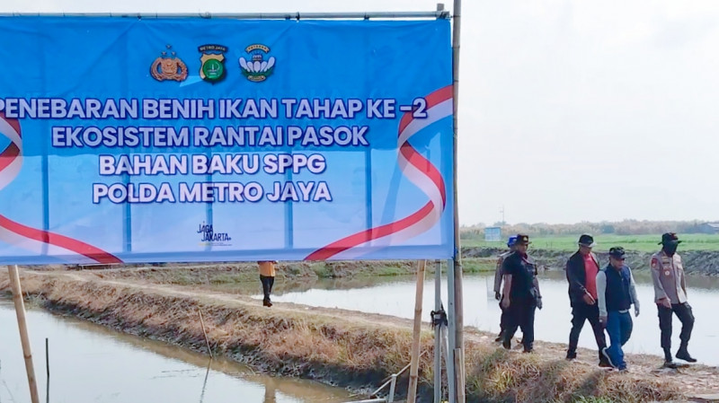 Ditpolairud Polda Metro Jaya Tebar 300 Ribu Benih Udang Windu di Muaragembong Bekasi