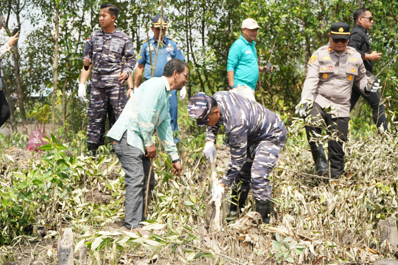 Sinergi Wujudkan Pantai Hijau dan Sungai Bersih, Danlanal Dumai Bersama PT. Pertamina Patra Niaga Laksanakan Penanaman 3000 Bibit Pohon Bakau