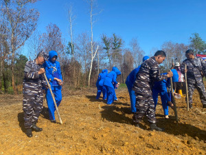 Lanal Bintan Laksanakan Program Ketahanan Pangan Dengan Menahan Bibit Sorgum
