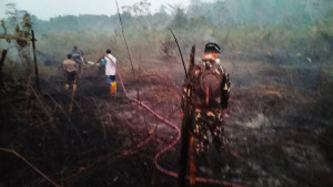 Respons Cepat Karhutla Dekat IKN, TNI Gerakkan Helikopter Caracal untuk _Water Bombing