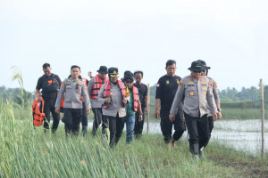 Dukung Program Ketahanan Pangan, Kapolda Metro Jaya Cek Tambak Udang di Muara Gembong
