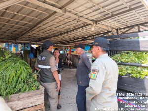 Satpol PP Kecamatan Koja Tertibkan Pedagang Hewan Kurban di Atas Trotoar