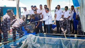 Dukung Penuh Program Ketahanan Pangan Nasional, Dankodaeral lX Gelar Panen Ikan di Keramba Jaring Apung
