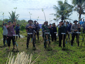 Penanaman Mangrove di Wilayah Selatan Jawa Barat Tahun 2025 Terus Dilakukan Oleh Pangkalan TNI AL Bandung Bersama DKP Provinsi Jawa Barat