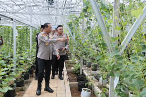 Kapolda Metro Jaya Sambangi Green House Perumahan Bekasi, Dukung Program Pangan Mandiri