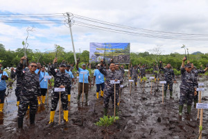 Kodaeral X Ajak Masyarakat Peduli Pesisir Dengan Menanam Mangrove Untuk Masa Depan