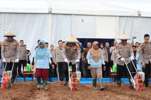 Sukses Pada Penanaman Jagung Tahun 2025, Polda Metro Jaya Menambah Jumlah Lahan Menjadi 50 Hektar pada Tanam Raya Jagung Serentak Kuartal I di Bekasi Tahun Ini