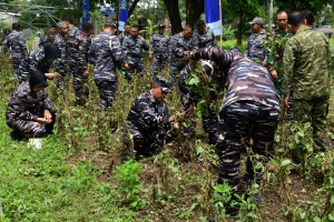 Pangkalan TNI AL Bandung Gelar Panen Raya Kacang Kedelai Secara Serentak Oleh TNI AL