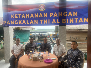 Lanal Bintan Ikuti Kegiatan Panen Raya Ketahanan Pangan TNI AL 2025