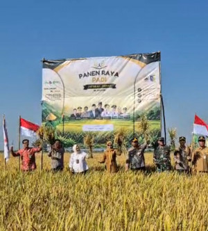 Panen Raya Padi 2026 dI Demak Perkuat Kemitraan Petani DAN Dunia Usaha Dalam Mendukung Ketahanan Pangan Nasional