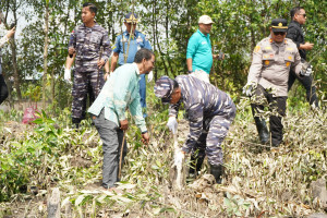 Sinergi Wujudkan Pantai Hijau dan Sungai Bersih, Danlanal Dumai Bersama PT. Pertamina Patra Niaga Laksanakan Penanaman 3000 Bibit Pohon Bakau