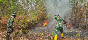 TNI Perkuat Penanganan Karhutla di Kawasan IKN Melalui Darat dan Udara