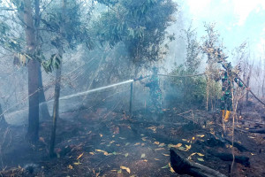 Gambut Jadi Medan Tempur, Satgas Darat Lanud Sjamsudin Noor Pantang Pulang Sebelum Bara Terkendali